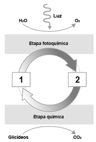 Enunciado 4594615-1