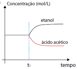 Alternativa 4-1