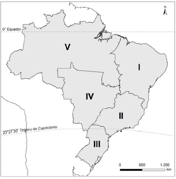 Enunciado 3194512-1