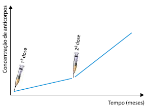 Alternativa 2-1