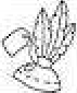 Enunciado 2952785-1