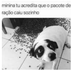 Enunciado 3530665-1