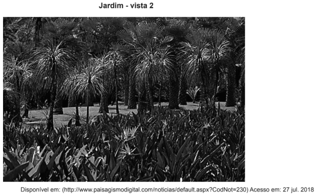 Enunciado 4473630-2