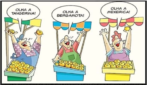 Enunciado 4400296-1