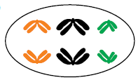 Alternativa 1-1
