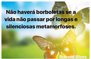 Enunciado 4648529-1