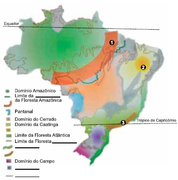 Enunciado 4650304-1