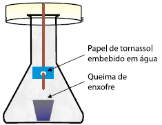 Enunciado 4649004-1