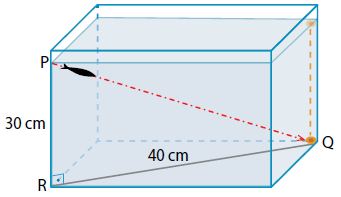 Enunciado 4648942-1