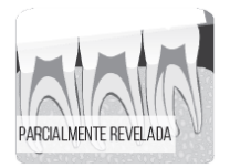 Enunciado 4631509-1