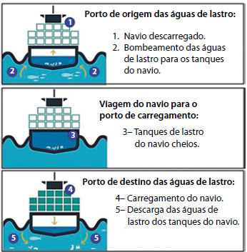 Enunciado 4648922-1