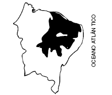 enunciado 1687689-1