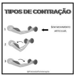 Enunciado 3159310-1
