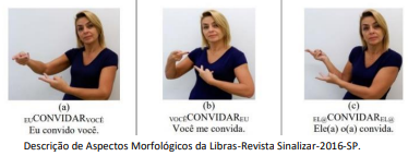 Enunciado 3540671-1