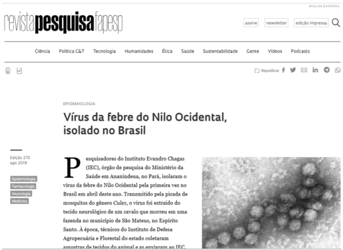 Enunciado 4645115-1