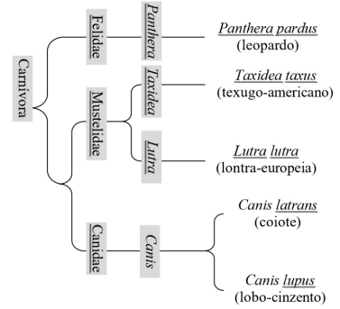 Enunciado 4530439-1