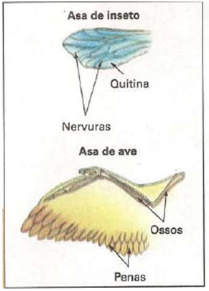 Enunciado 4705030-1