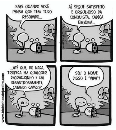 Enunciado 4484380-1