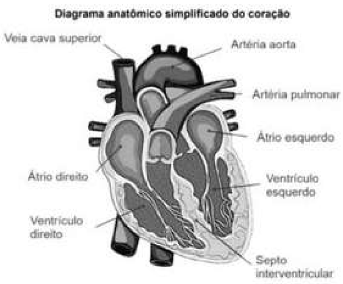 Enunciado 4703106-1