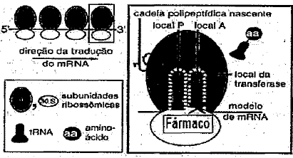 Enunciado 4472529-1
