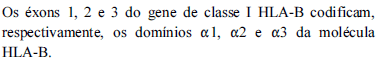 Enunciado 3424668-1