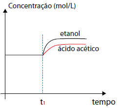 Alternativa 5-1