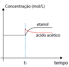 Alternativa 1-1