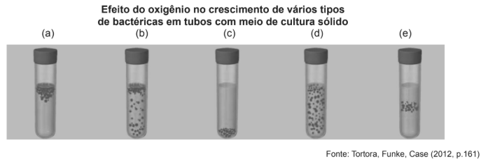 Enunciado 4473692-1