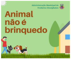Enunciado 2619091-1