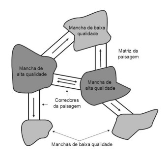 Enunciado 4734497-1