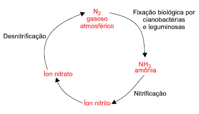 Enunciado 4648736-1