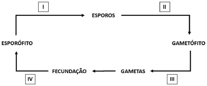 Enunciado 3553104-1