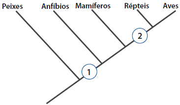 Enunciado 4655083-1