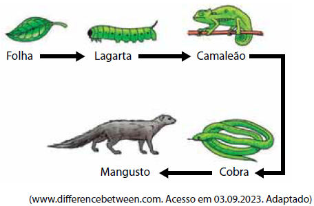 Enunciado 4654729-1