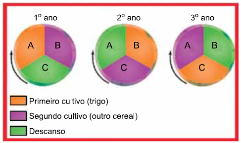 Enunciado 4648765-1