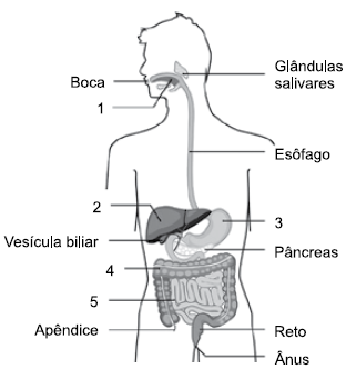 Enunciado 4707694-1