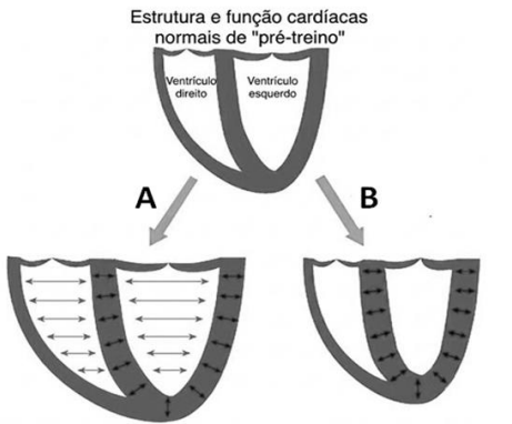 Enunciado 4670561-1