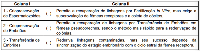 Enunciado 4555916-1