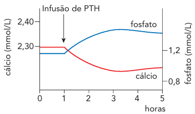 Alternativa 4-1