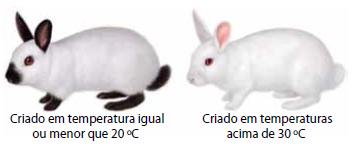 Enunciado 4648919-1