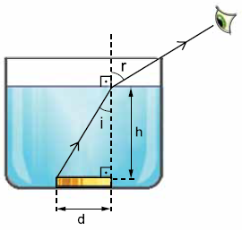 Enunciado 4713435-1